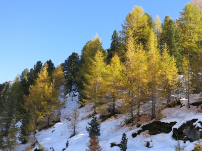 Autumn in the Alps