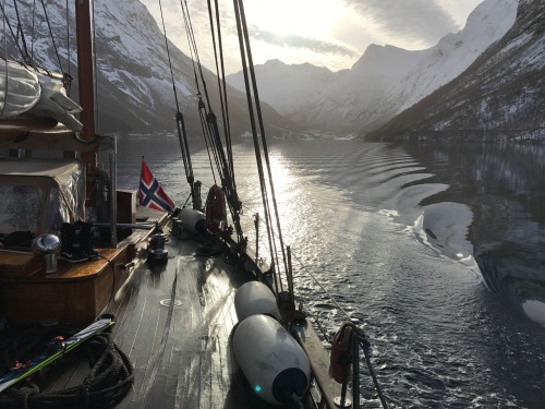 Evening sailing on the fjord