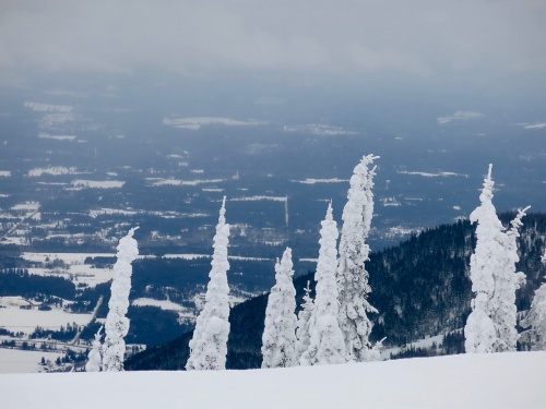 Schweitzer Mountain Resort, Idaho