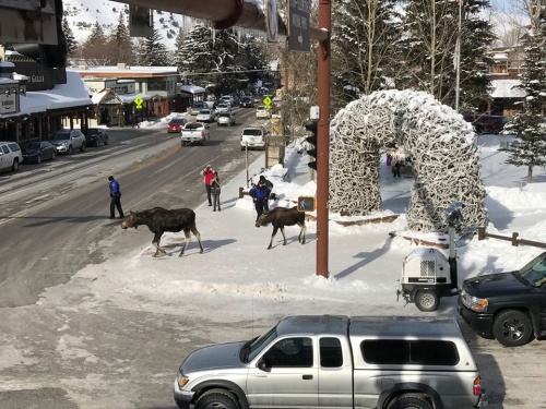 Jackson Hole Mountain Resort Facebook