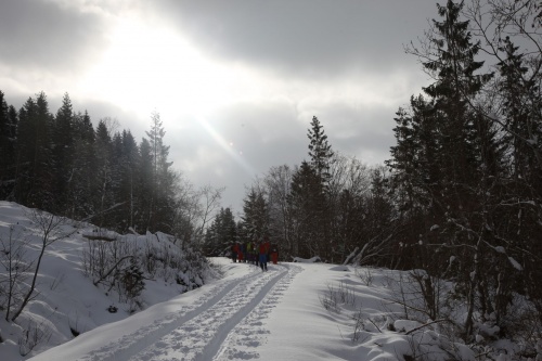 Touring up the snow covered road