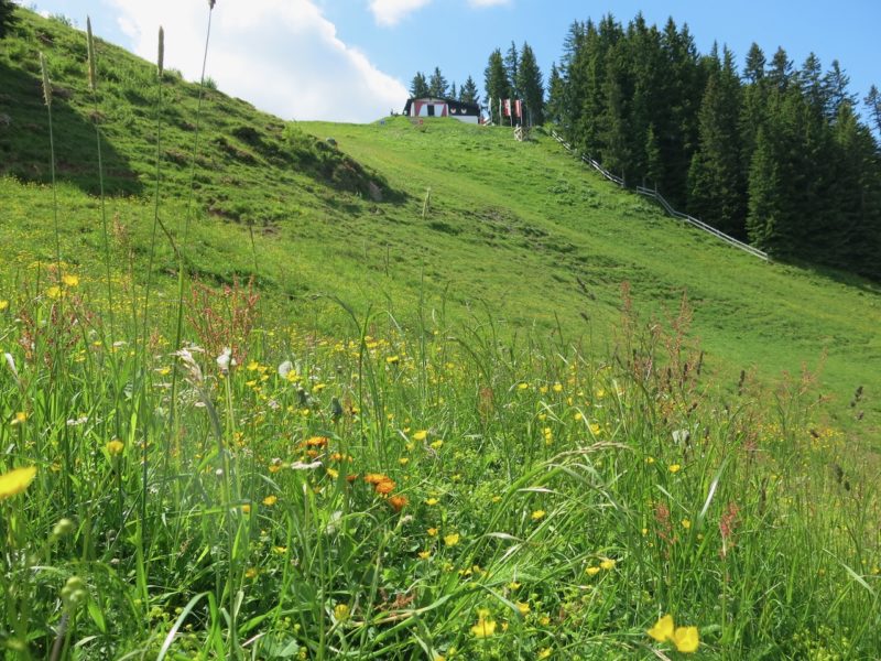 Hiking the Hahnenkamm. Image © PlanetSKI