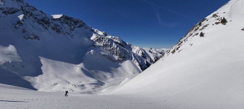 Toby on Tour in the Tirol