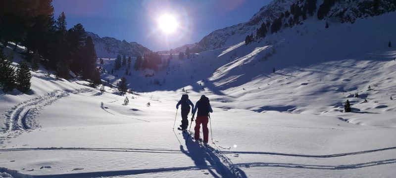 Toby on Tour in the Tirol