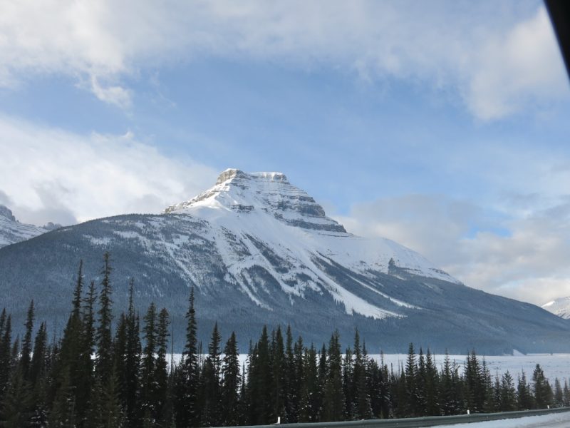 The road to Jasper and Marmot Basin