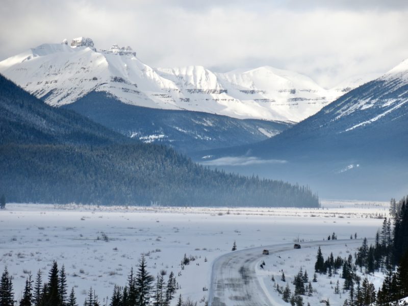 The road to Jasper and Marmot Basin