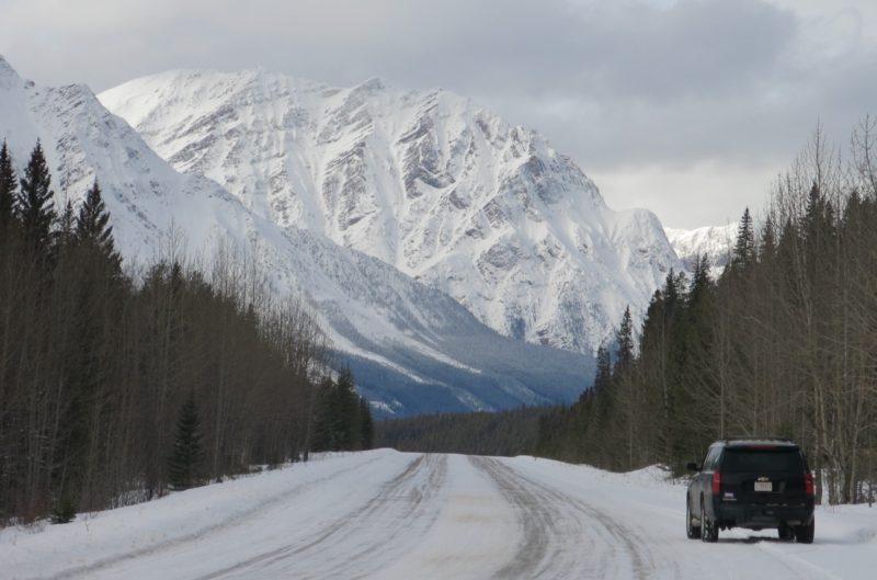 The road to Jasper and Marmot Basin