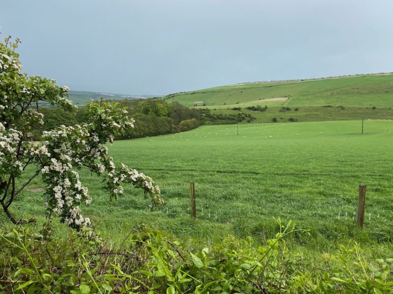 South Downs Way. Image © PlanetSKII