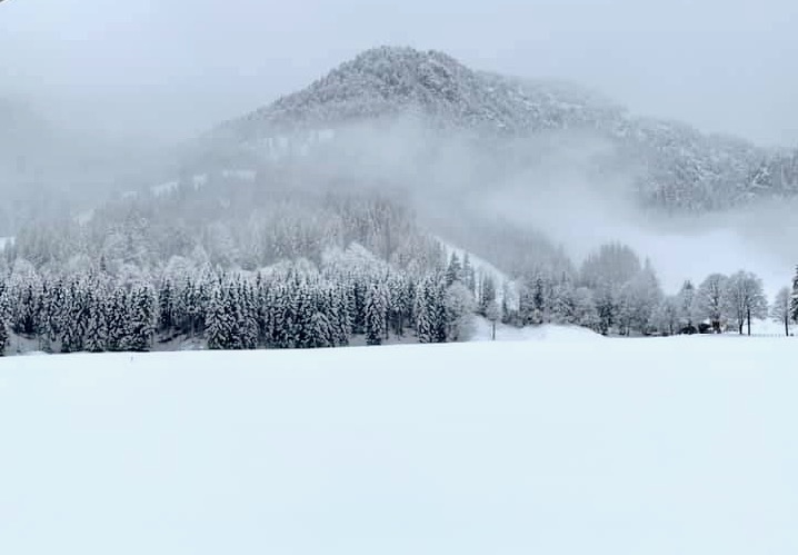 The Tirol. Image c/o Lindsay Cairns