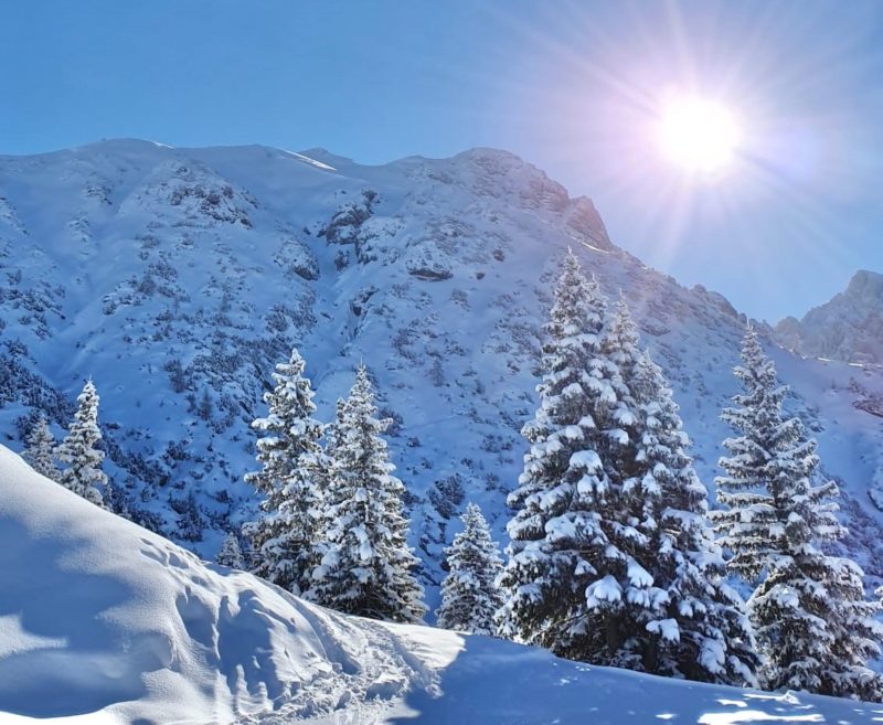 Seefeld, Tirol, Austria. Image c/o Elena Protopopow.