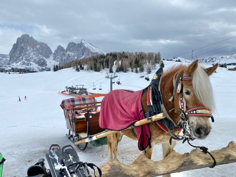 The Legendary 8, Val Gardena. Image © PlanetSKI