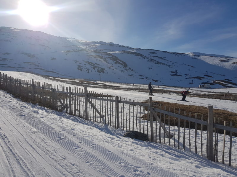 Skiing in Scotland. Image c/o Rod Frazer.