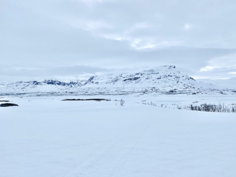 Snowmobiling in Ryksgransen, Sweden. Image © PlanetSKI