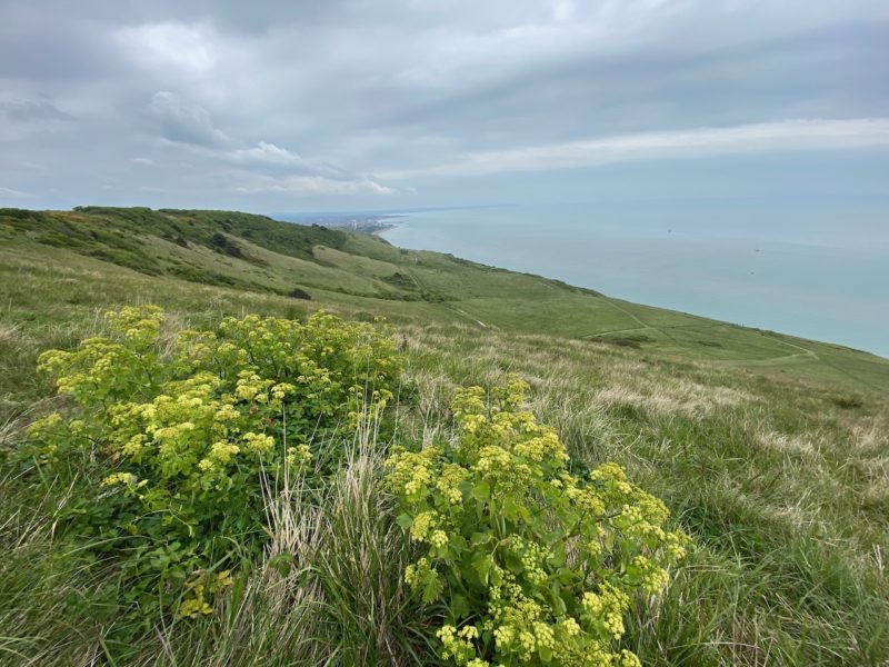 South Downs Way. Image © PlanetSKI