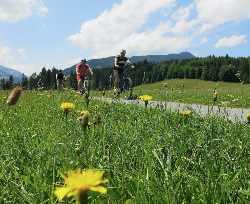 Summer in the Tirol. Image © PlanetSKI