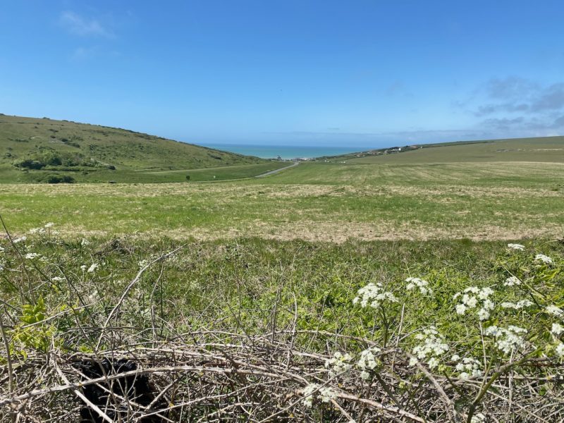 South Downs Way. Image © PlanetSKI