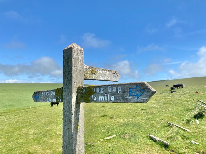 South Downs Way. Image © PlanetSKI