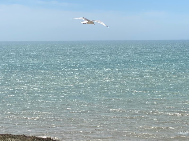 South Downs Way. Image © PlanetSKI