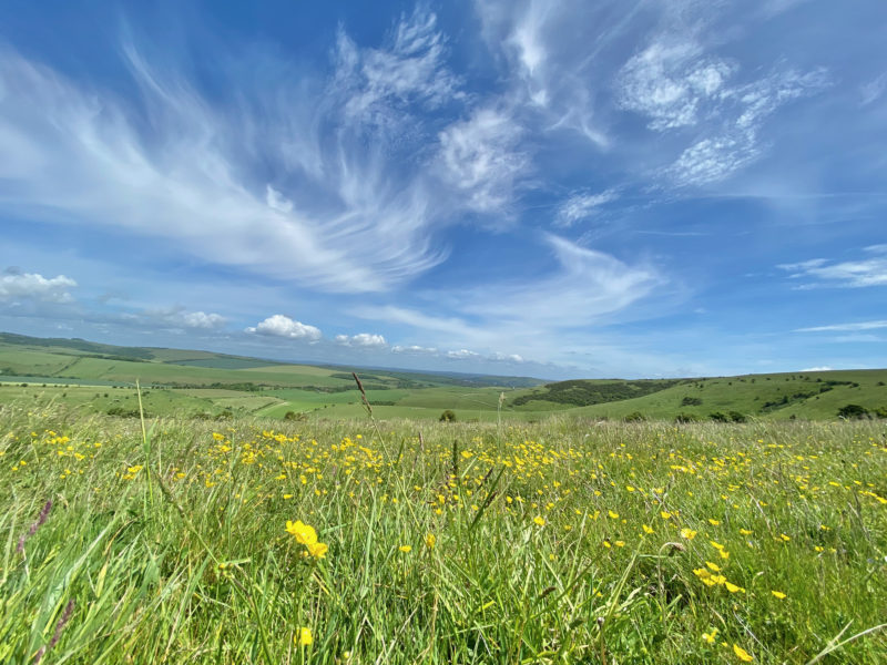 South Downs Way. Image © PlanetSKI