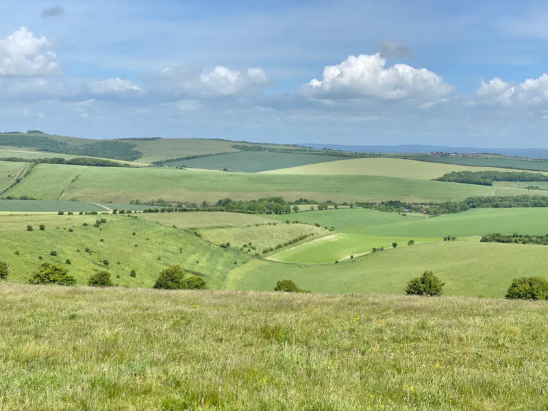 South Downs Way. Image © PlanetSKI