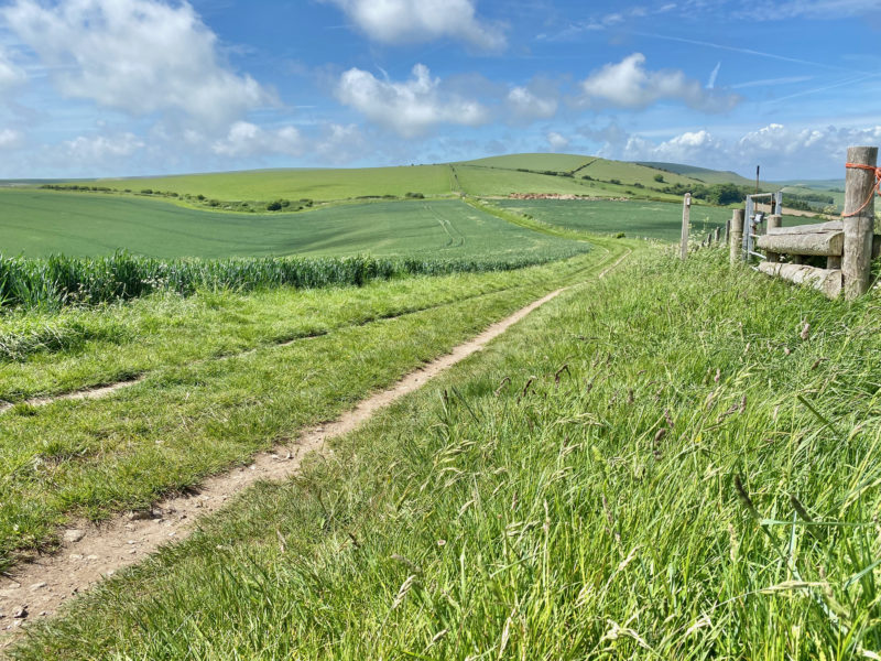 South Downs Way. Image © PlanetSKI