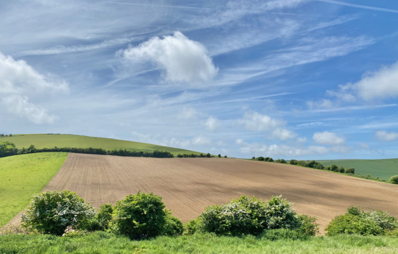 South Downs Way. Image © PlanetSKI