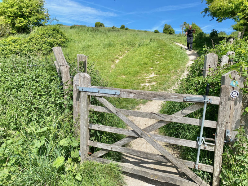 South Downs Way. Image © PlanetSKI