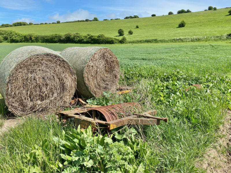 South Downs Way. Image © PlanetSKI