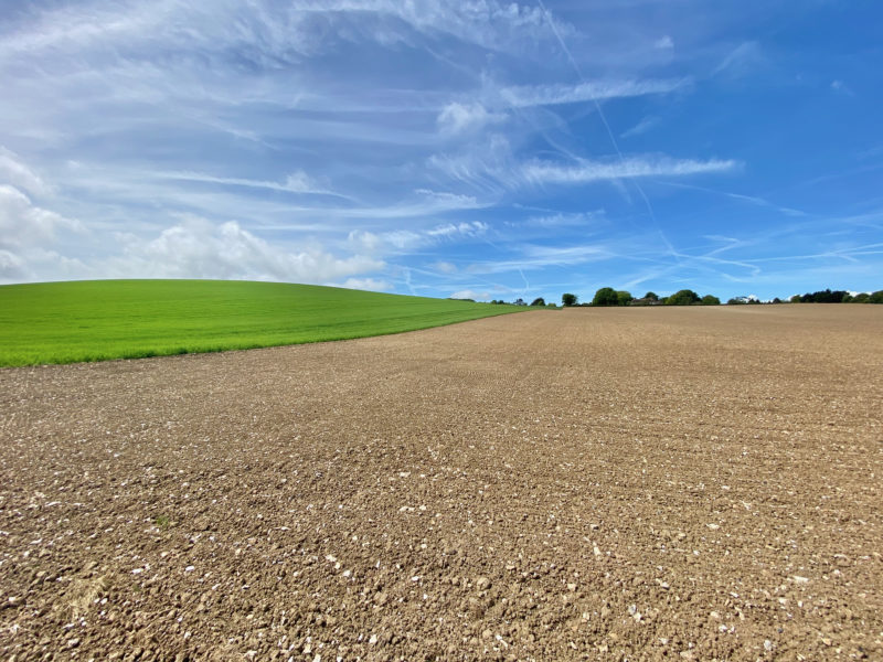 South Downs Way. Image © PlanetSKI