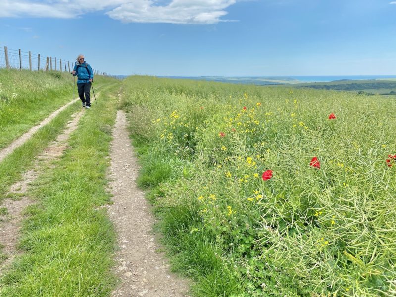 South Downs Way. Image © PlanetSKI