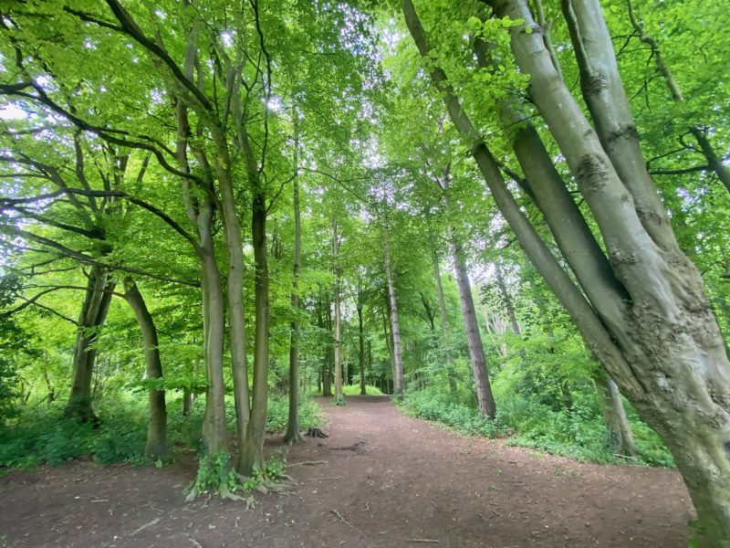 South Downs Way. Image © PlanetSKI