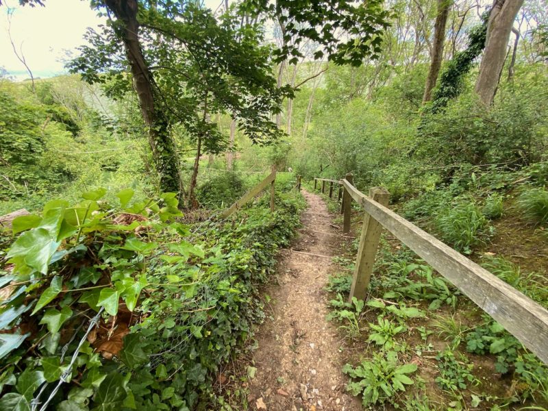 South Downs Way. Image © PlanetSKI