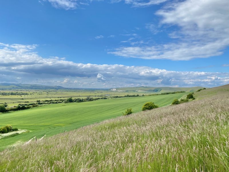 South Downs Way. Image © PlanetSKI