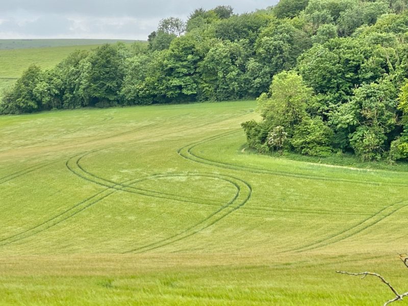 South Downs Way. Image © PlanetSKI