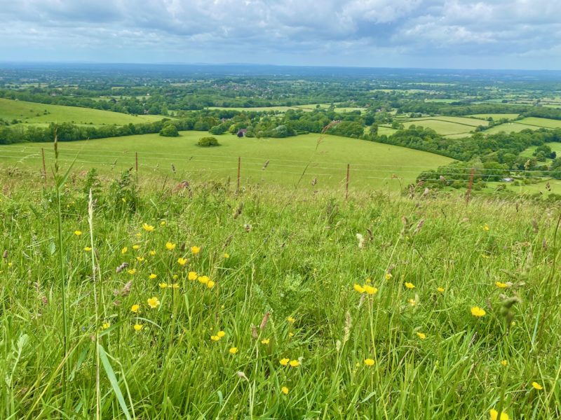 South Downs Way. Image © PlanetSKI