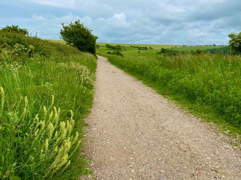 South Downs Way. Image © PlanetSKI