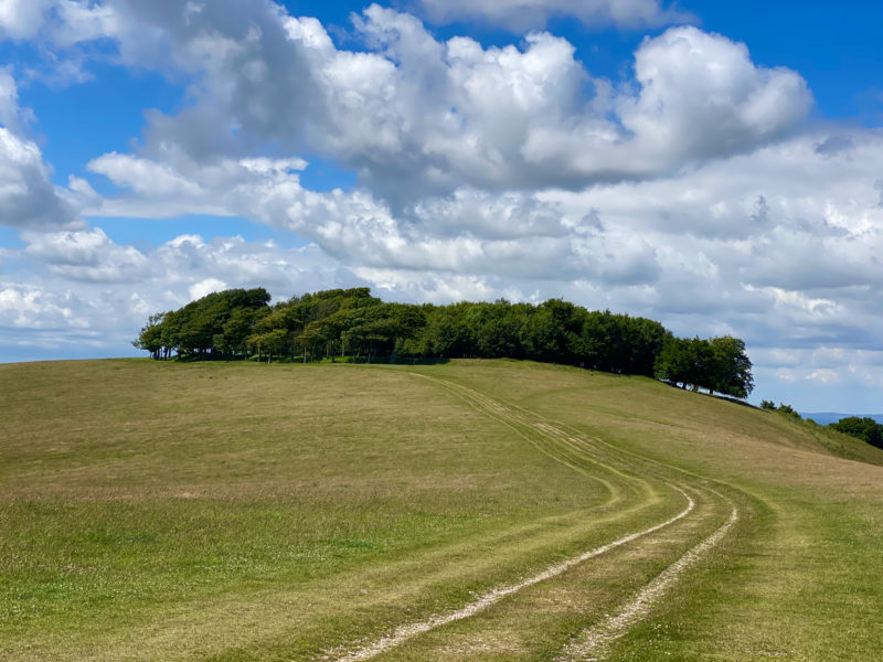 South Downs Way. Image © PlanetSKI