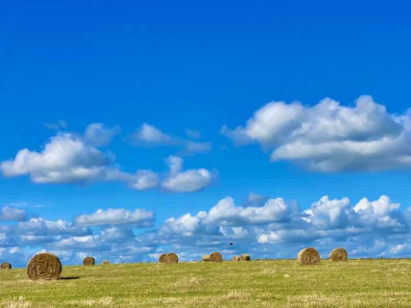 South Downs Way. Image © PlanetSKI