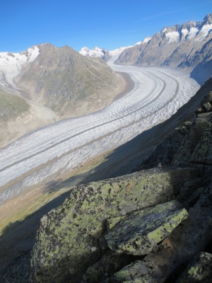 Aletsch glacier, Switzerland. Image © PlanetSKI