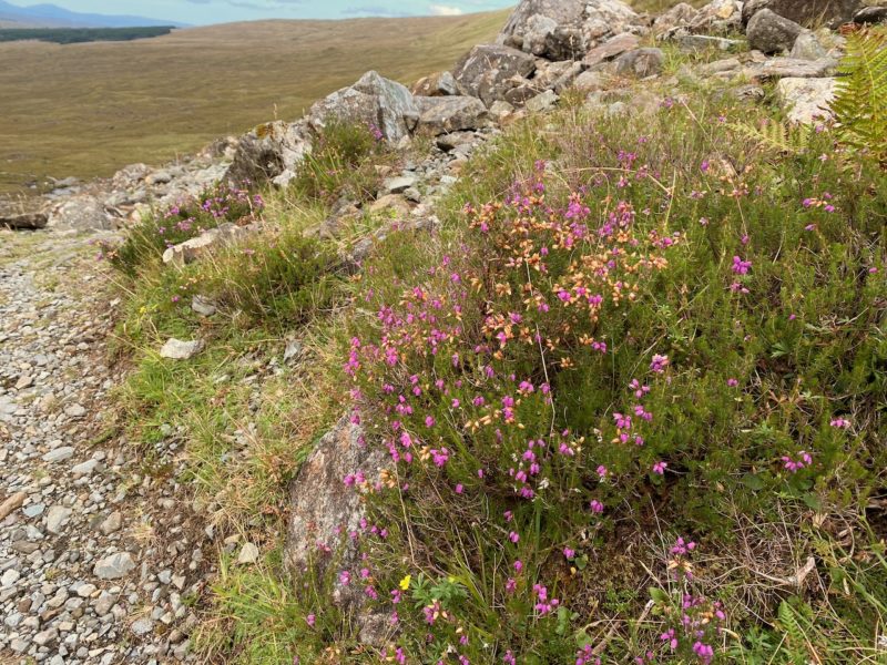 Isle of Skye. Image © PlanetSKI