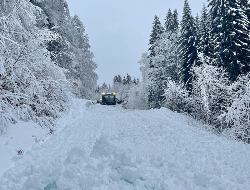 Morzine, France. Image © Morzine tourist office.