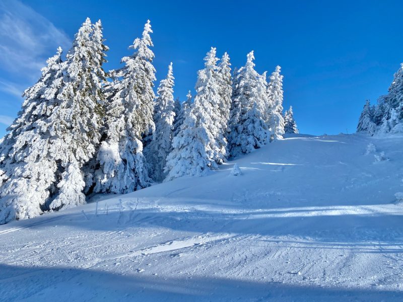 Pays de Gex, Jura mountains. Image © PlanetSKI