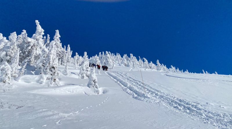 Revelstoke, Canada. Sunshine Village, Canada. Image © PlanetSKI