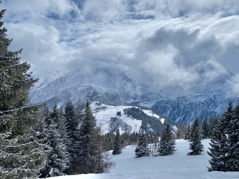 Les Houches, Chamonix, France. Image © PlanetSKI