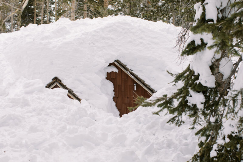 Mammoth Mountain. Image c/o Jaymie Shearer