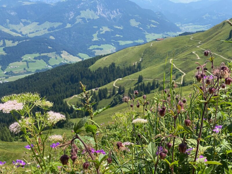 St Johann in summer. Image © PlanetSKI