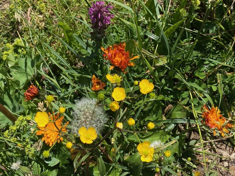 St Johann in summer. Image © PlanetSKI