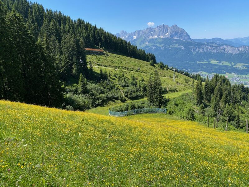 St Johann in summer. Image © PlanetSKI