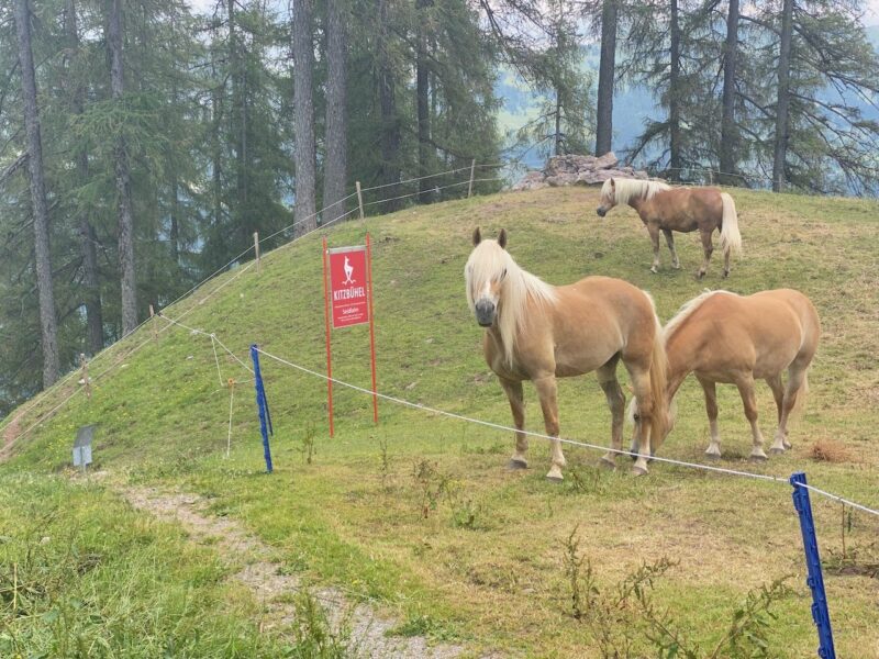 Kitzbuhel in summer. Image © PlanetSKI