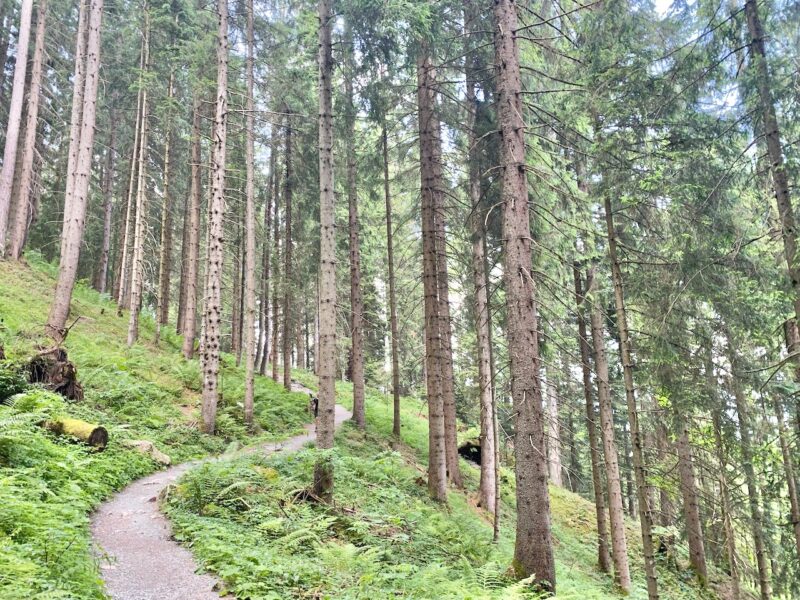 Kitzbuhel in summer. Image © PlanetSKI